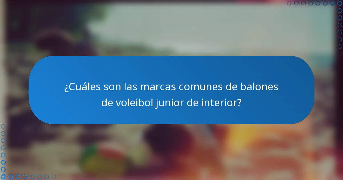 ¿Cuáles son las marcas comunes de balones de voleibol junior de interior?