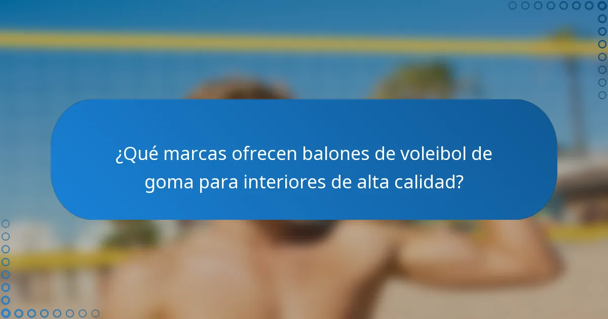 ¿Qué marcas ofrecen balones de voleibol de goma para interiores de alta calidad?