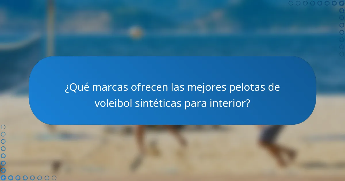 ¿Qué marcas ofrecen las mejores pelotas de voleibol sintéticas para interior?