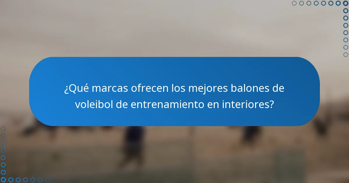 ¿Qué marcas ofrecen los mejores balones de voleibol de entrenamiento en interiores?