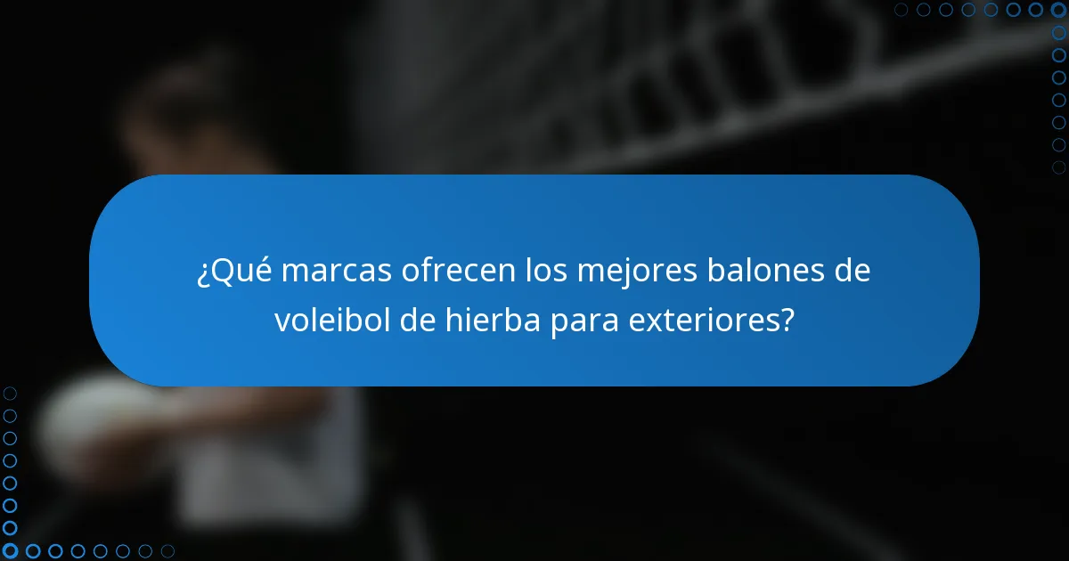 ¿Qué marcas ofrecen los mejores balones de voleibol de hierba para exteriores?