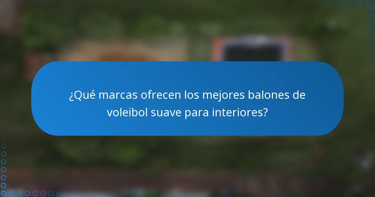 ¿Qué marcas ofrecen los mejores balones de voleibol suave para interiores?