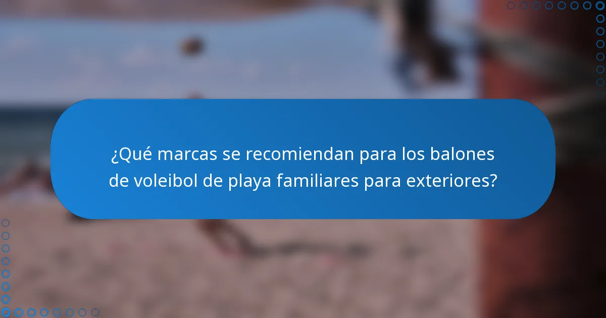 ¿Qué marcas se recomiendan para los balones de voleibol de playa familiares para exteriores?
